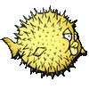 rfavsuige