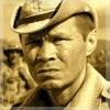 Alinaref